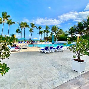 Seacoast By Miami Ambassadors